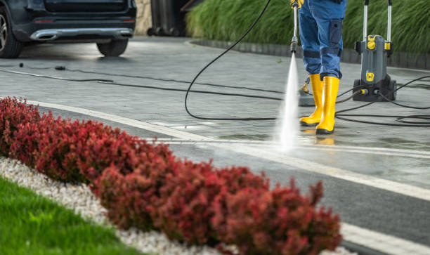 Best Driveway Cleaning and Restoration in Jackson, KY